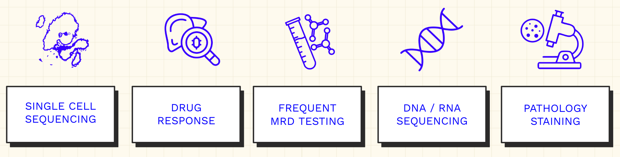 Five pillars of maximal diagnostics