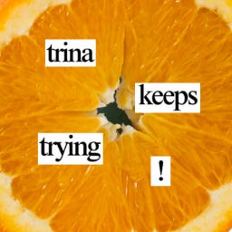 ☆ trina keeps trying ☆ logo