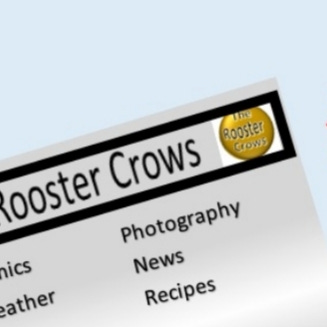 Rooster’s Substack logo