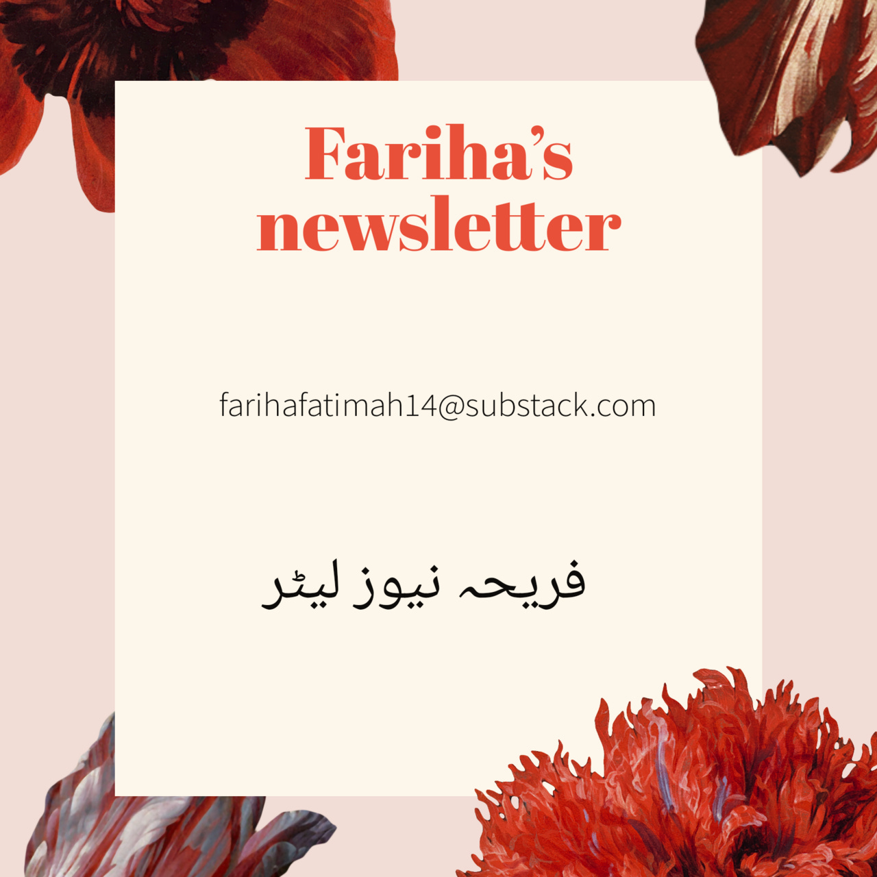 Artwork for fariha’s Newsletter