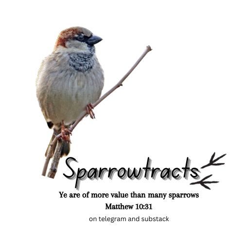 Artwork for Sparrowtracts