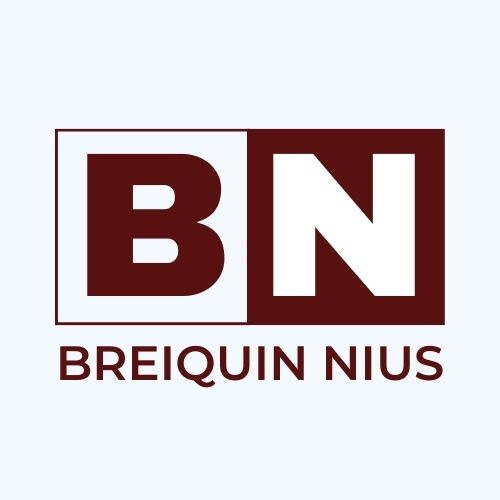 Breiquin Nius logo