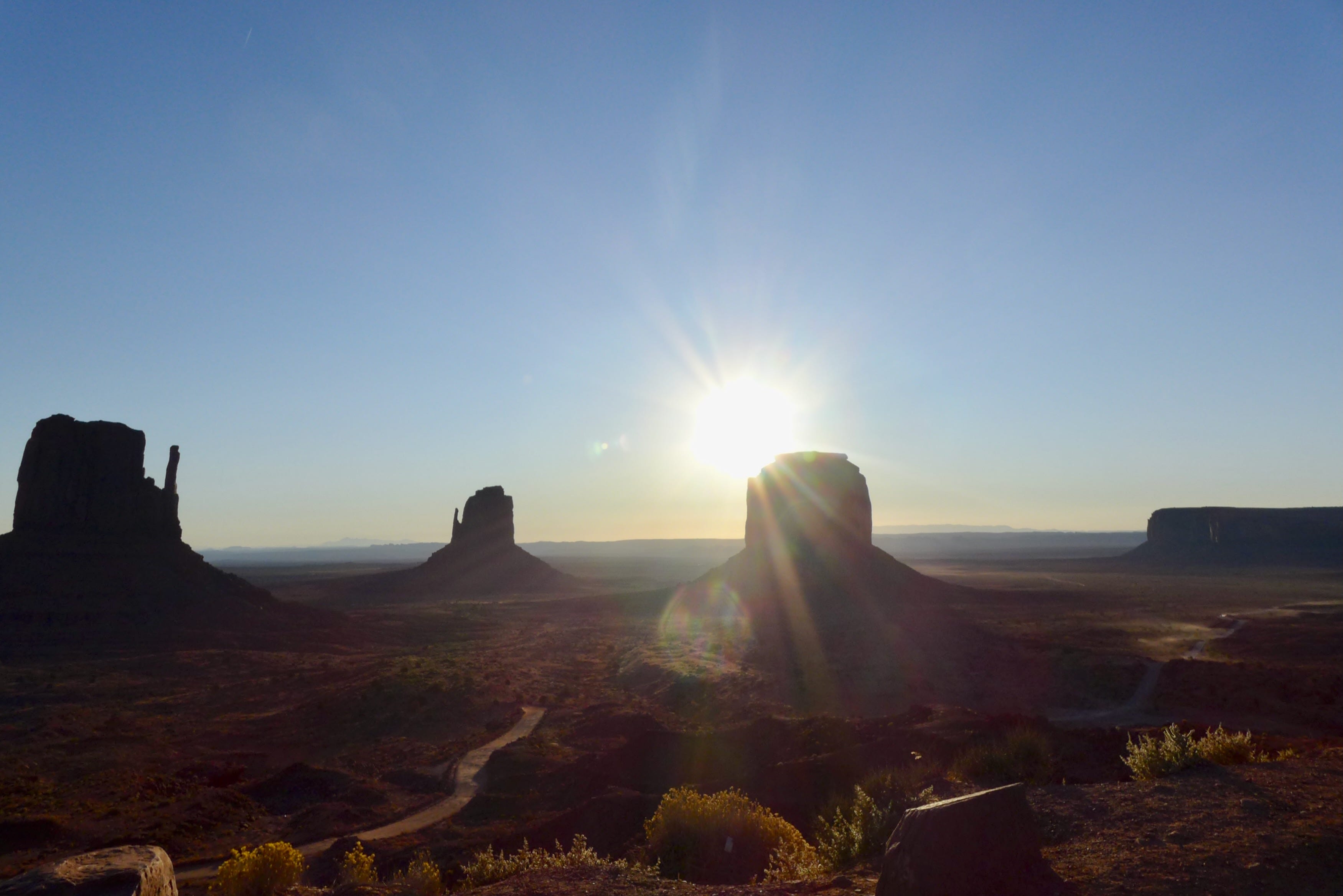 The Golden Light by Dami Roelse Walk with Dami