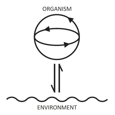 Cognitive Science Bits & Bobs logo