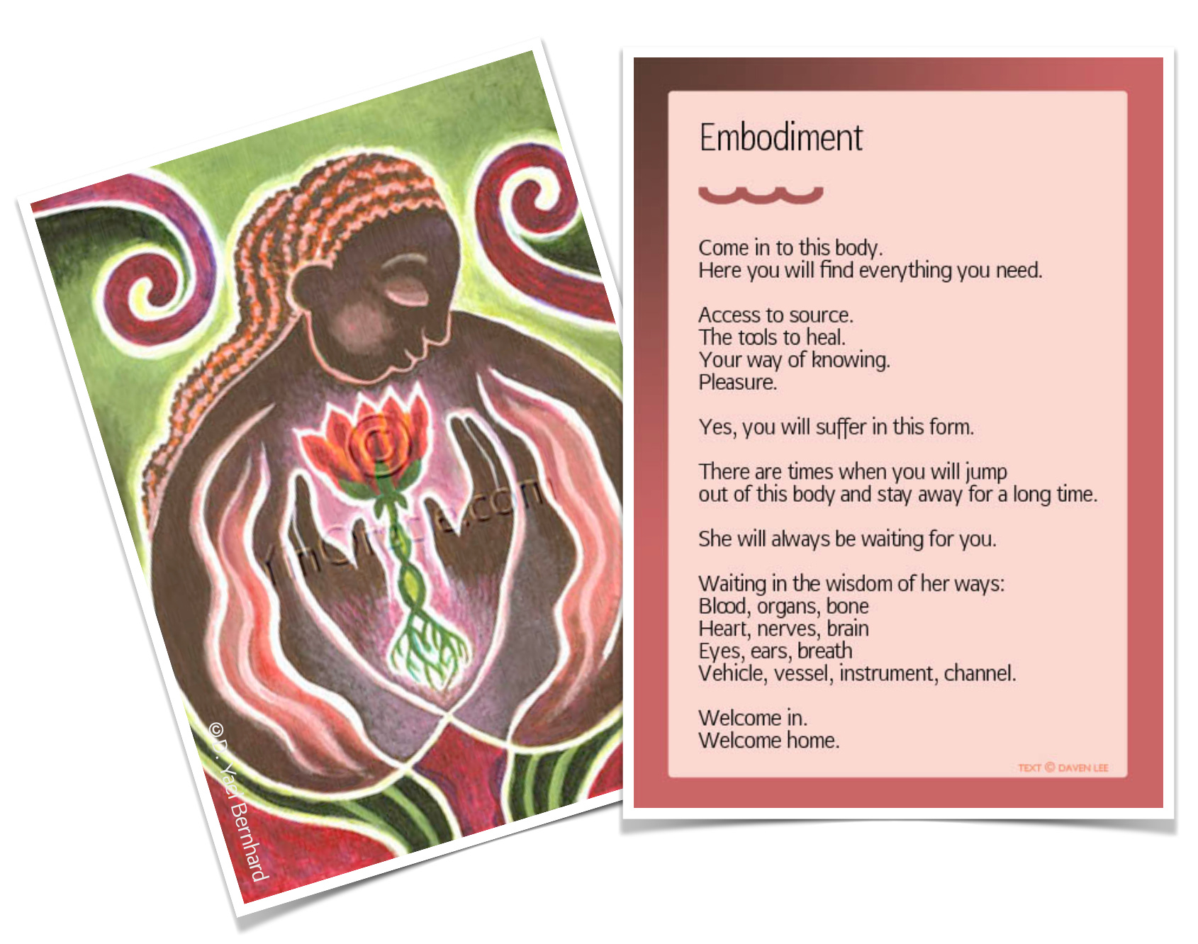 Reverence for Your Body The Power of the Yin by Daven Lee