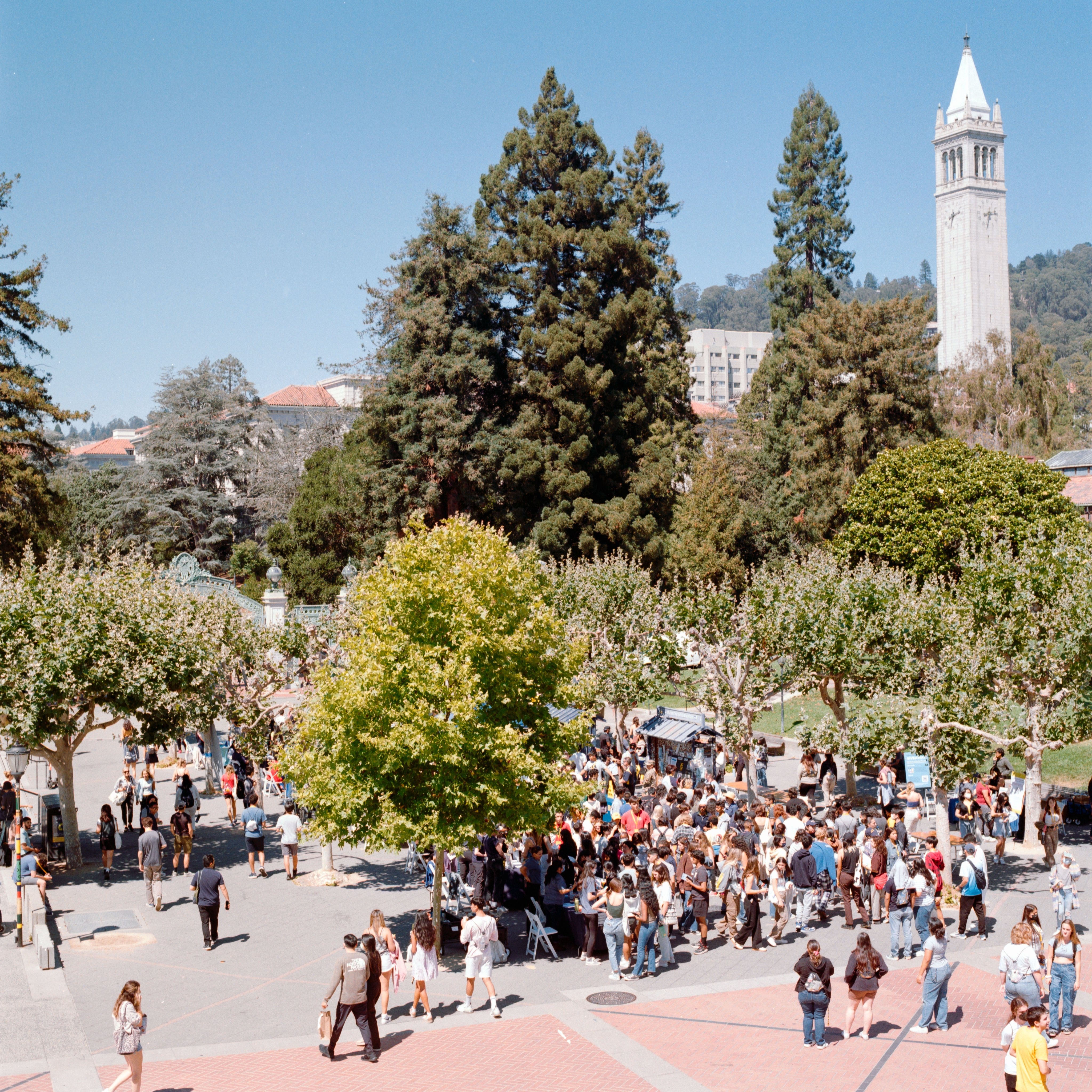 Cal Athletics Fund Kicks Off Summer Caravan - California Golden Bears  Athletics