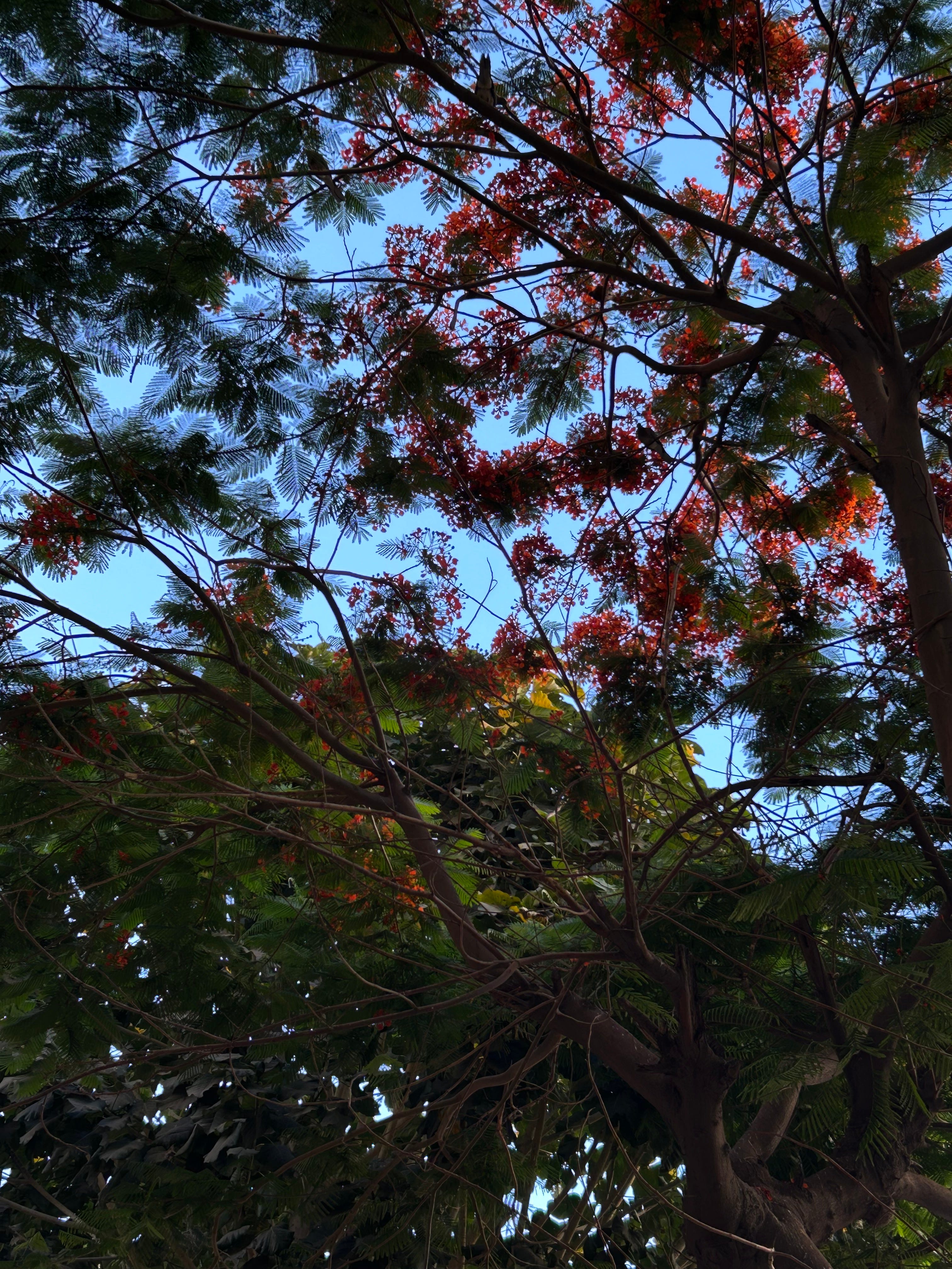 Not the one by Rhyme And Reason Rhyme & Reason