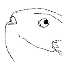 MMOLA