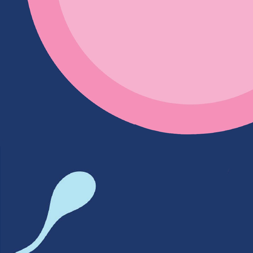 Artwork for Fertility Rules