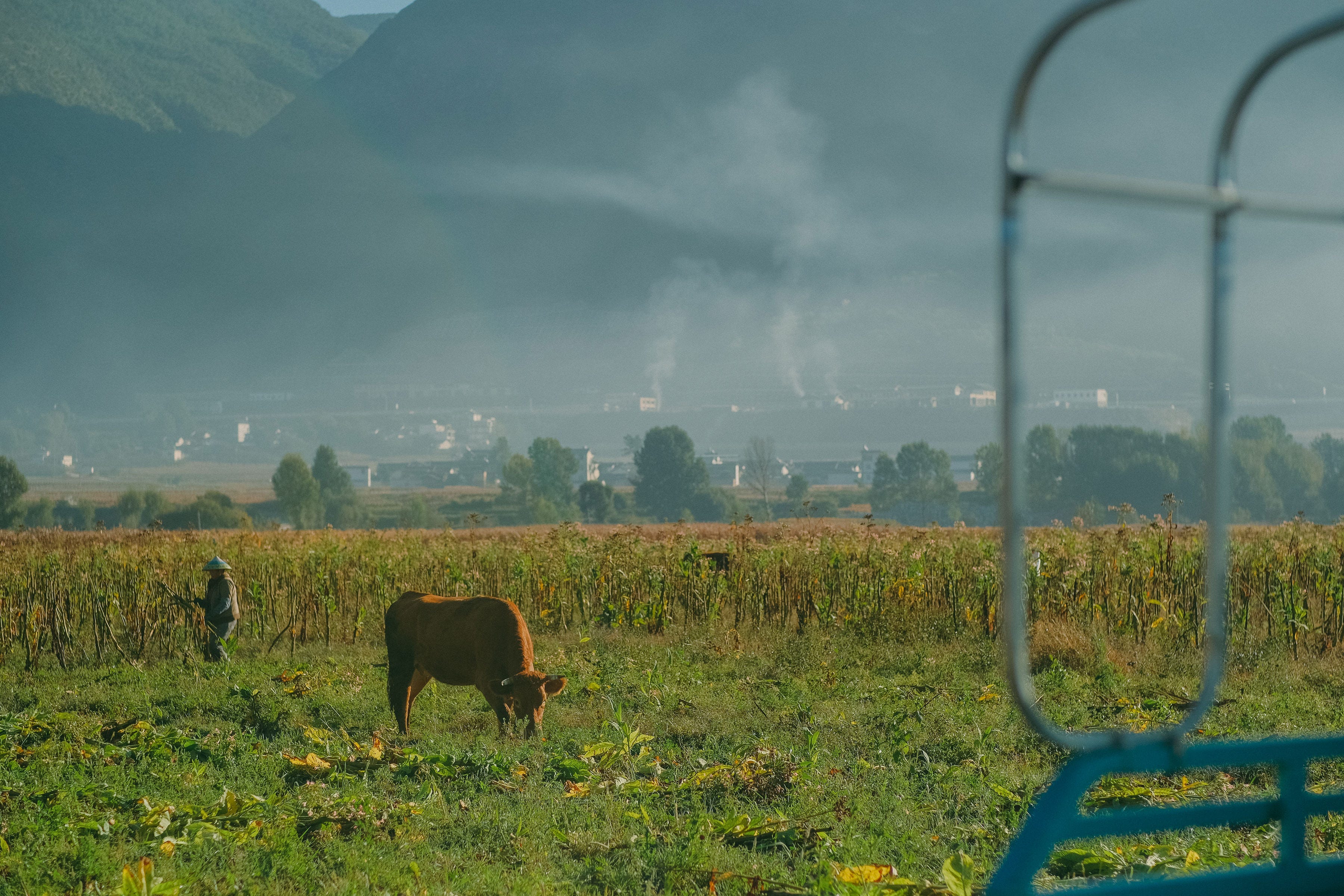 Lessons From Connecting With Nature In Rural Yunnan