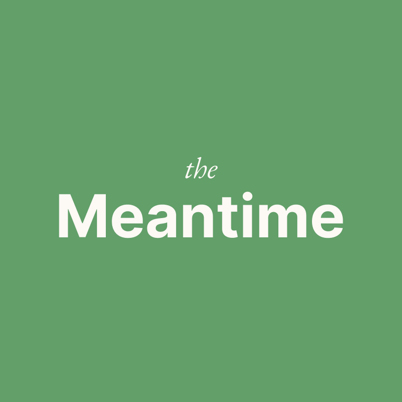 Artwork for The Meantime