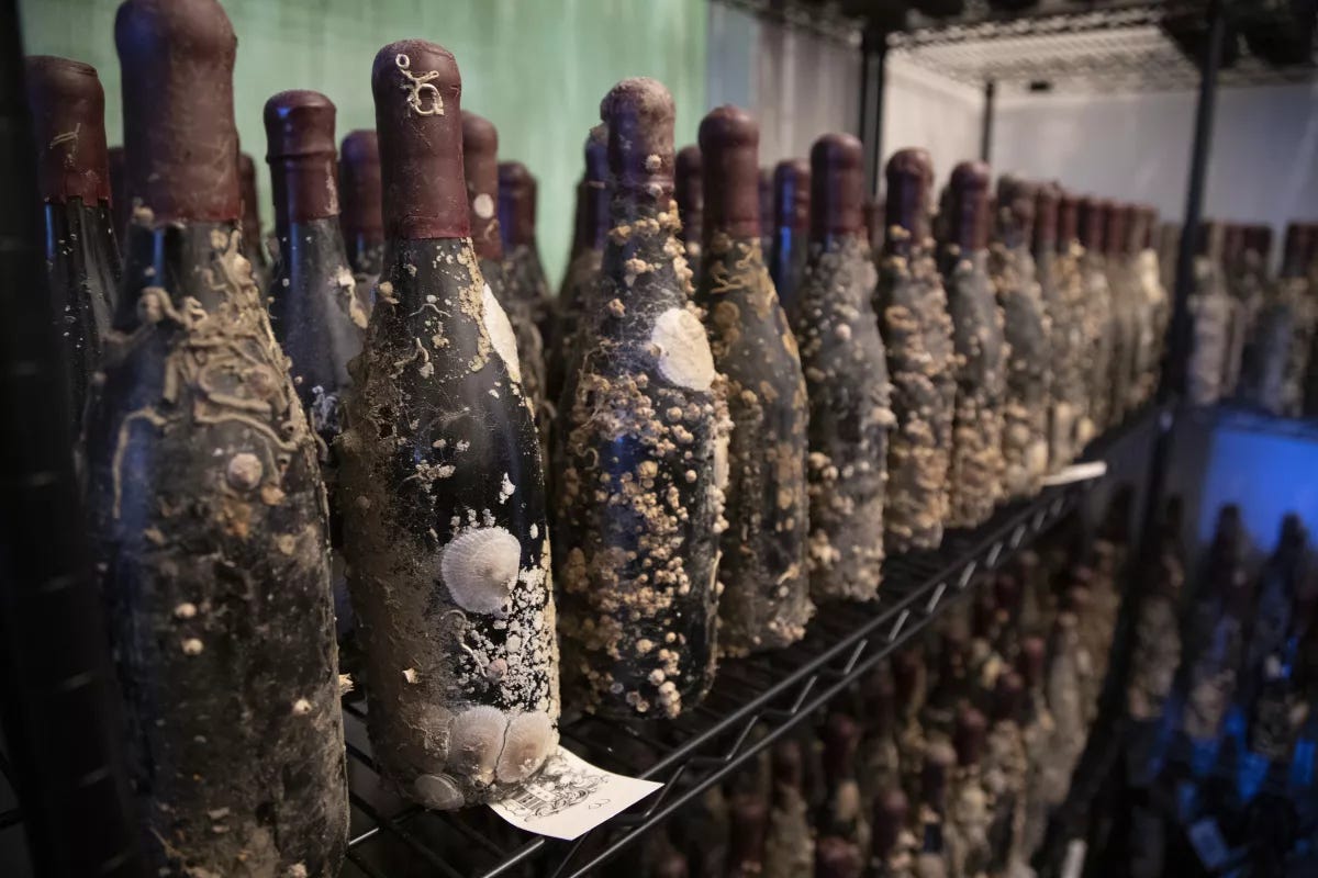 Wine Bottle Profiles  A Layman's Wine Musings