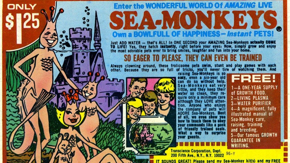 Sea Monkeys Were Not As Advertised