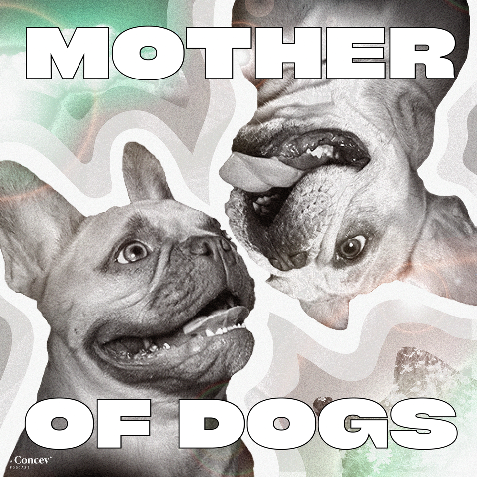 Mother of Dogs | Substack