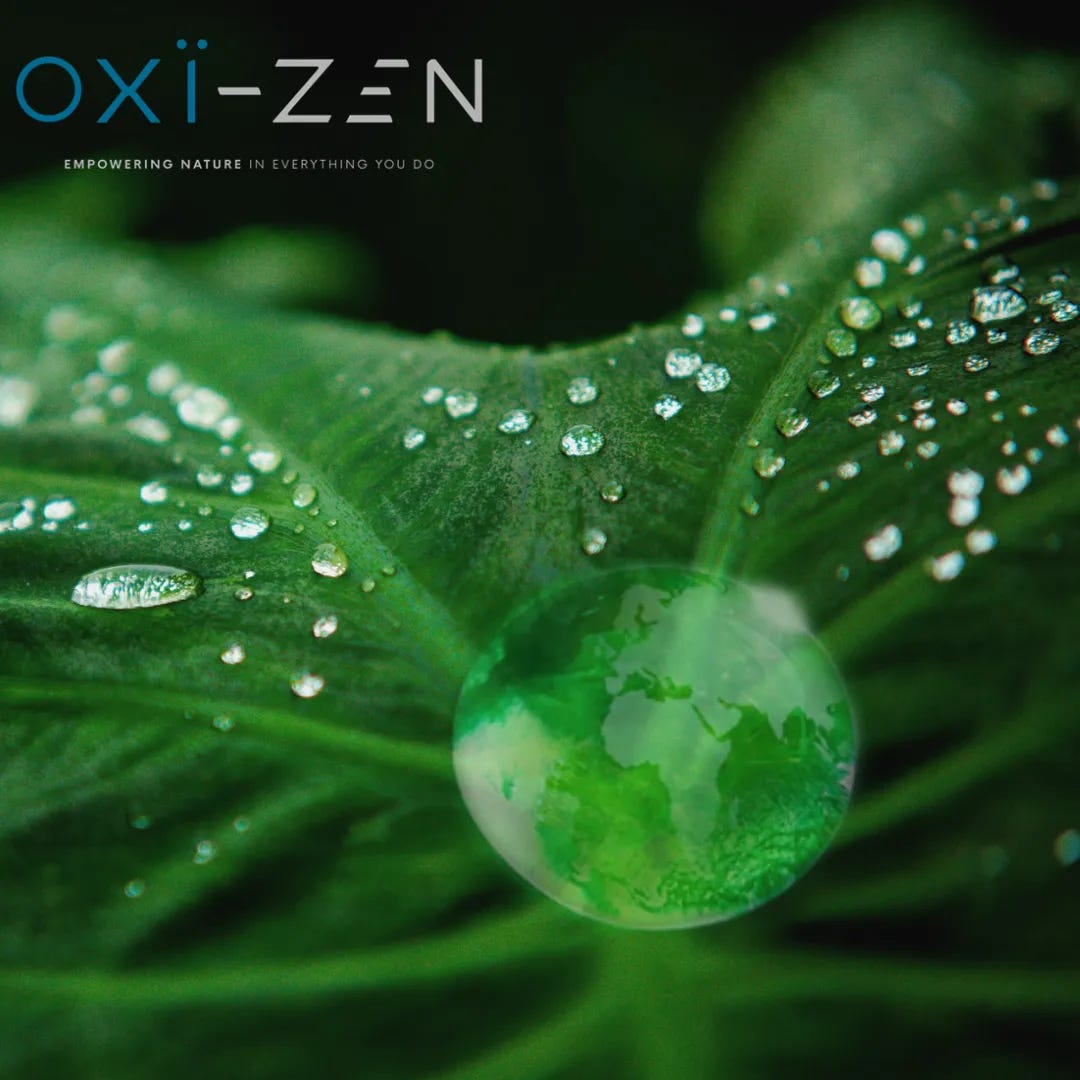 Artwork for OXI-ZEN Newsletter 