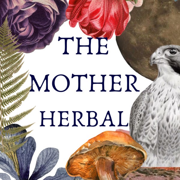 Artwork for The Mother Herbal 