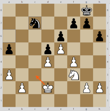 Blitz Knight Endgame Goes Wrong - by Jean-Georges Estiot