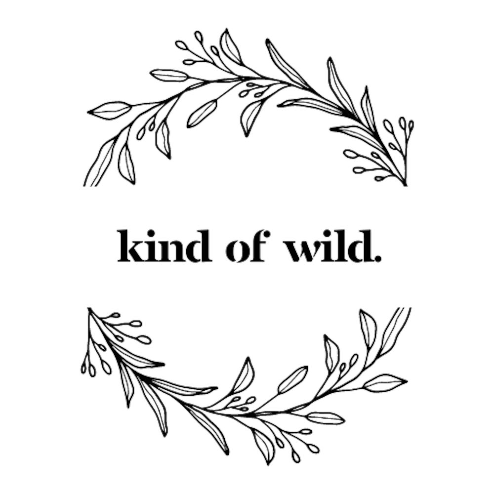 Artwork for Kind of Wild