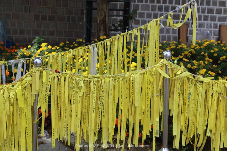 Politics of the Yellow Sewol Ribbon