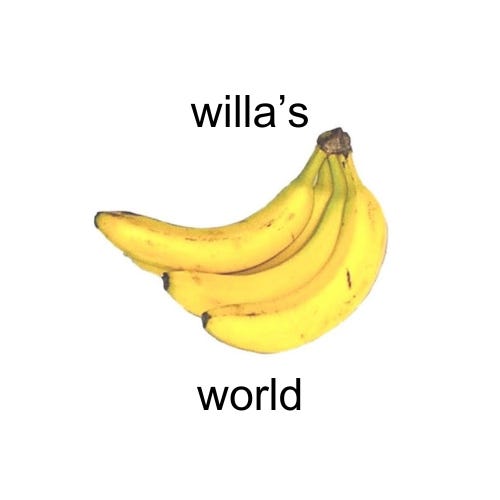 willa's world