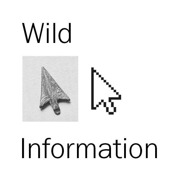 Artwork for Wild Information