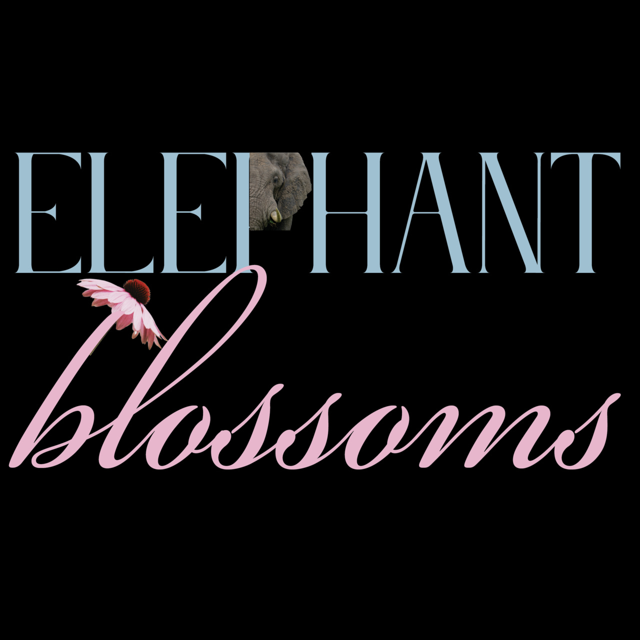 Artwork for Elephant Blossoms