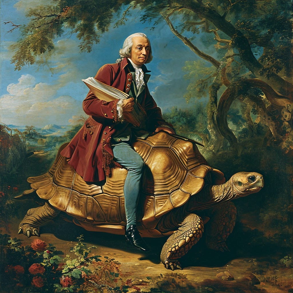 Artwork for The Liberal Tortoise