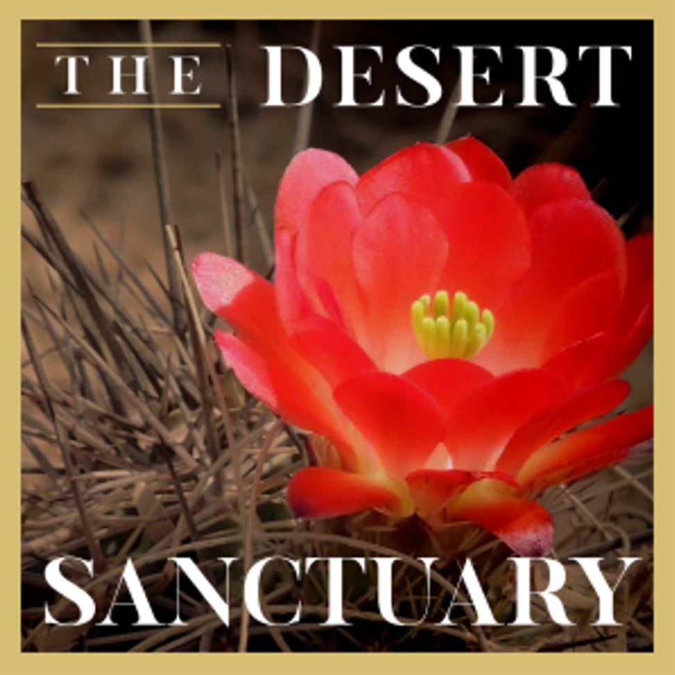 Artwork for The Desert Sanctuary