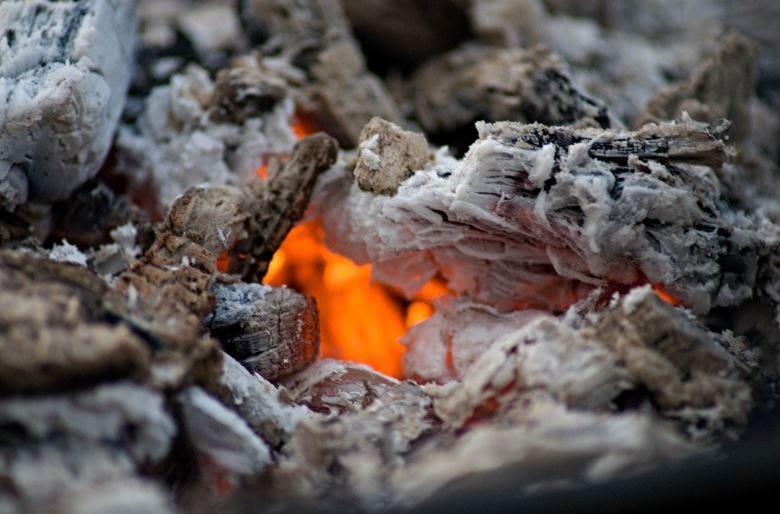 Ready To Fire Up Your Life? by Dannye Williamsen