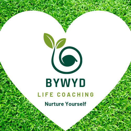 Bywyd Life Coaching logo