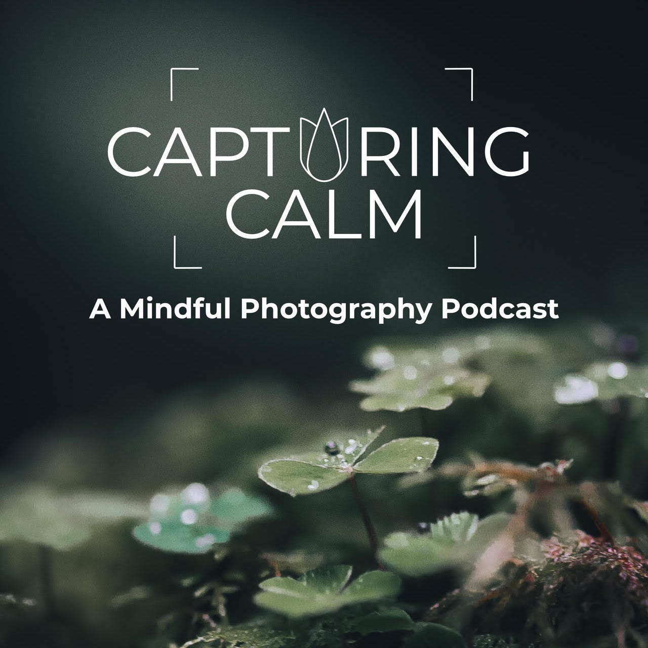 Capturing Calm logo