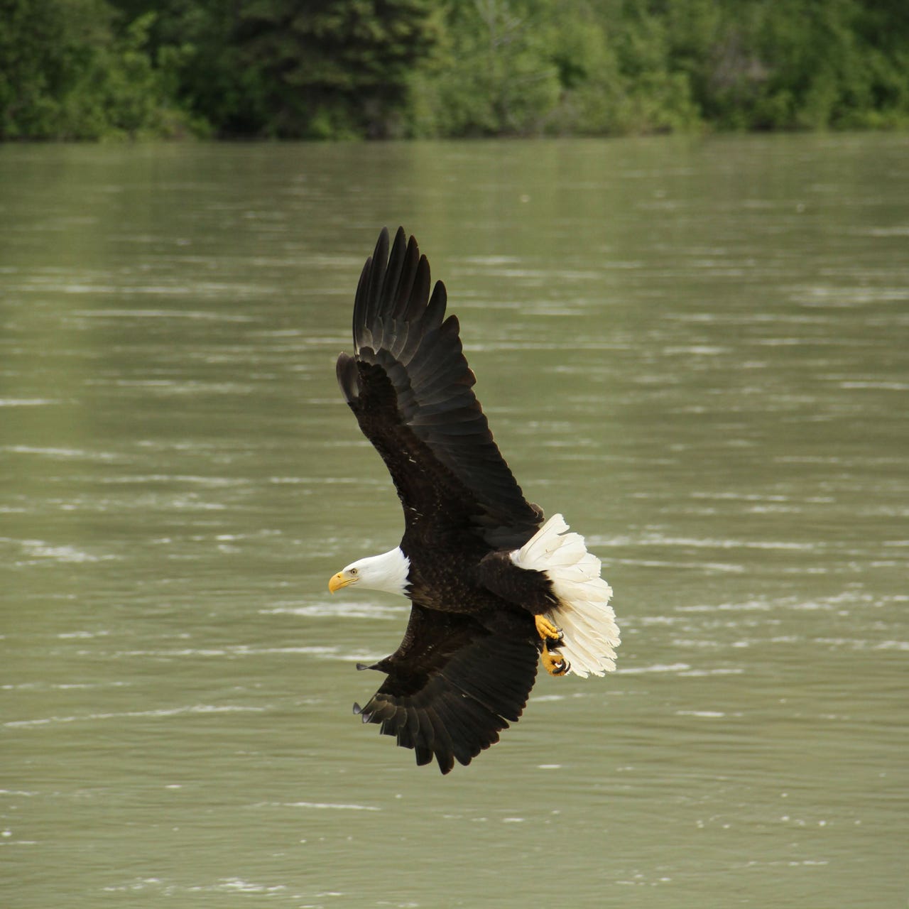 Michael Jones Nature Photography logo