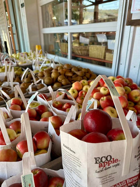 Pumpkin picking in the Hudson Valley Tomversation