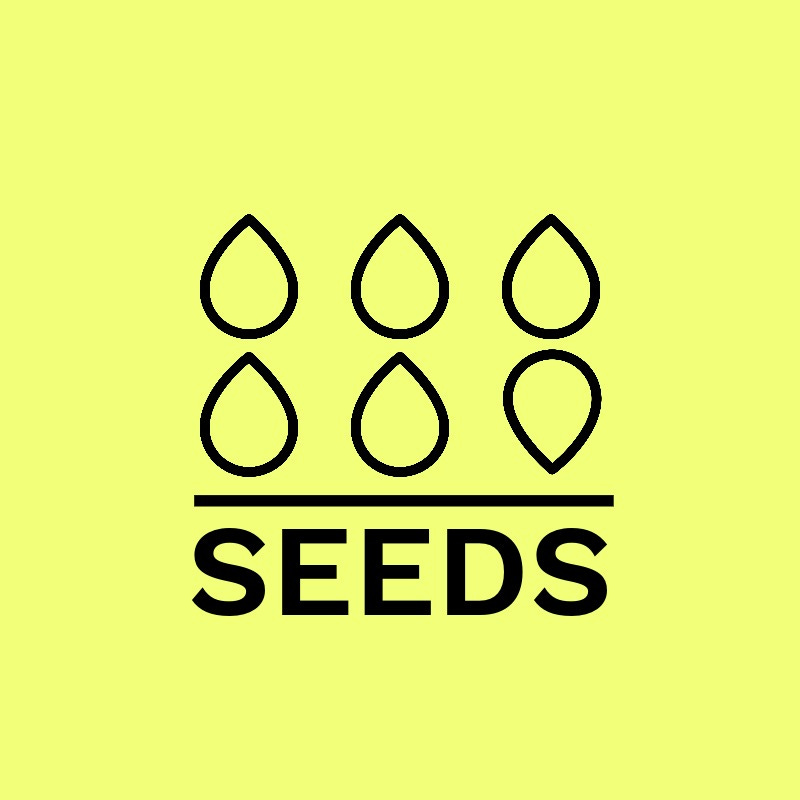 Artwork for The 6 Seeds Sustenance