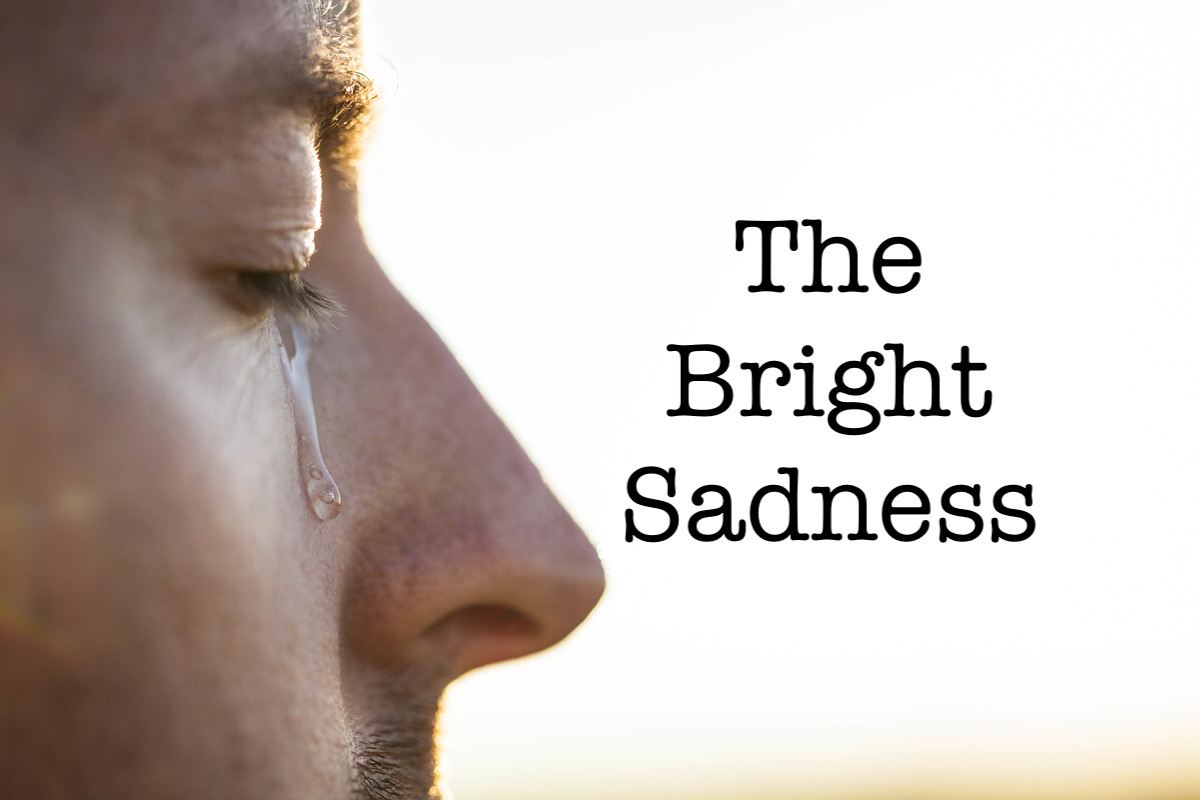 The Bright Sadness - by Fr. Barnabas Powell