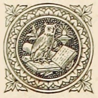 Rare Bird logo