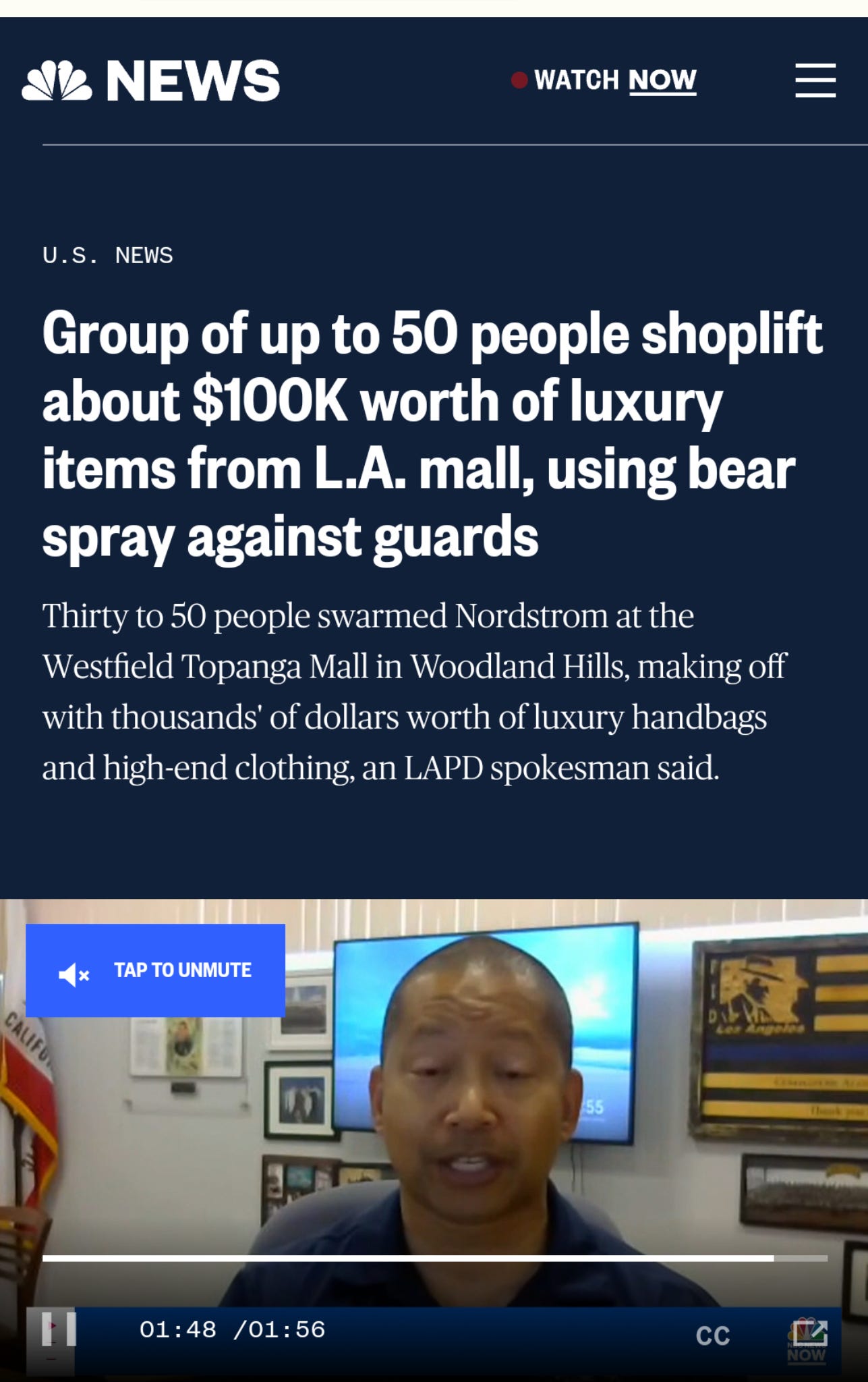 Group of up to 50 people shoplift about $100K worth of luxury items from  L.A. mall, using bear spray against guards