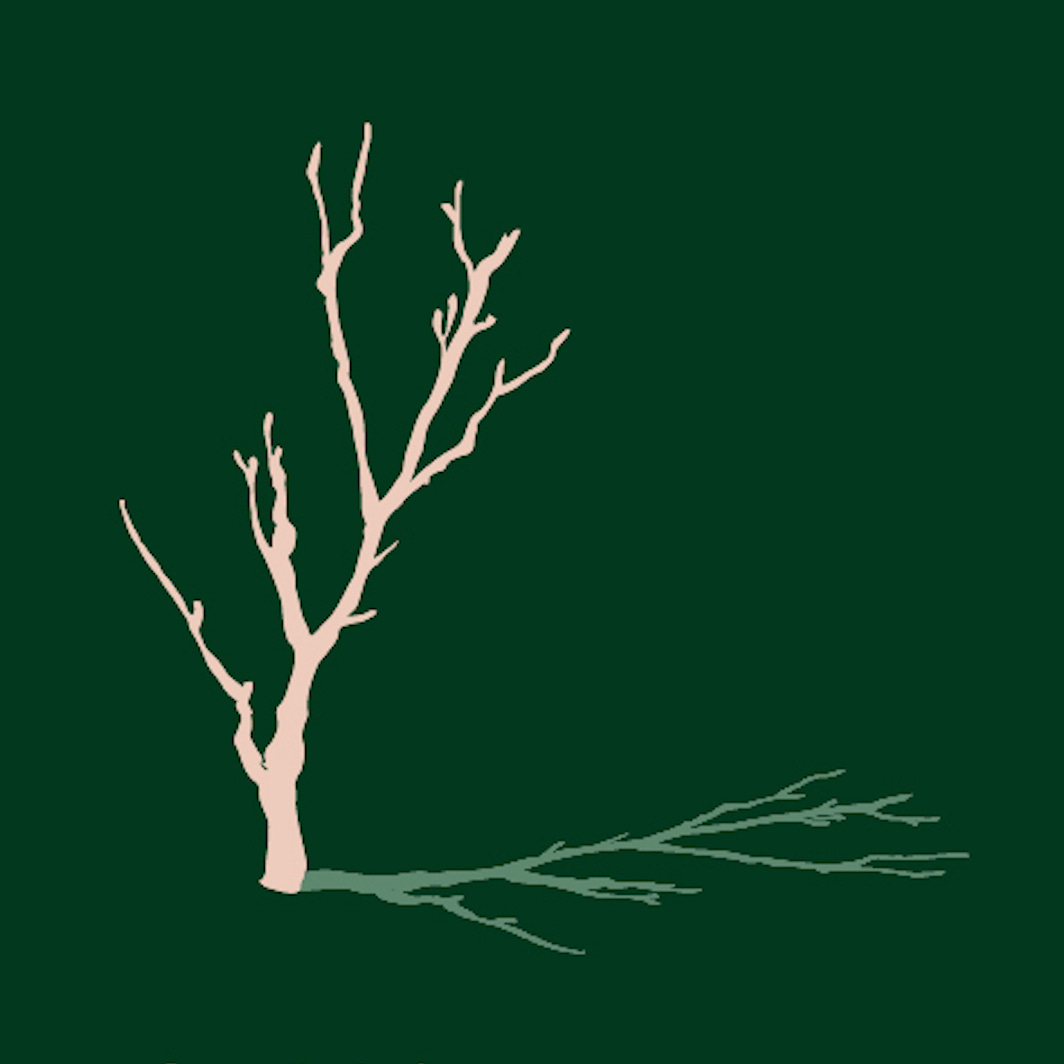 Artwork for Falling Tree