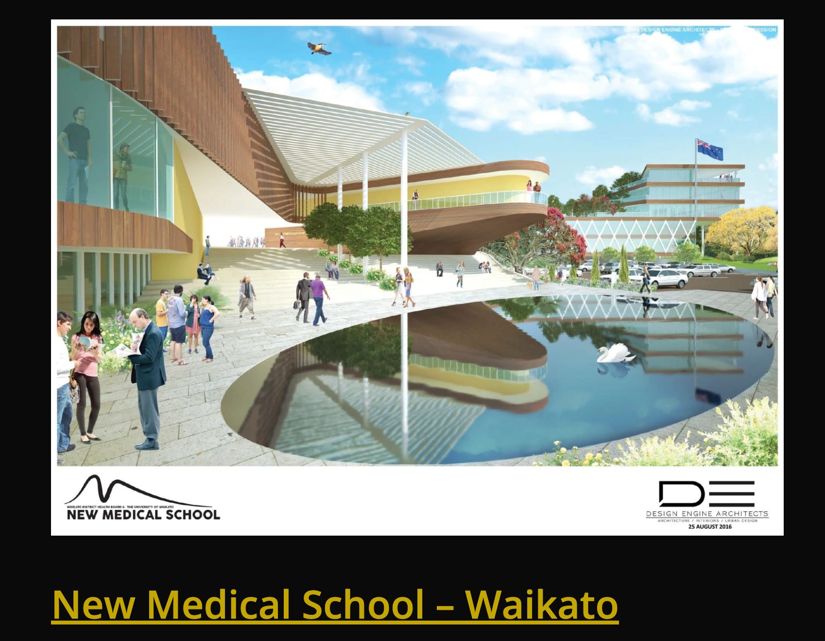 Pet Project: The Waikato Med School