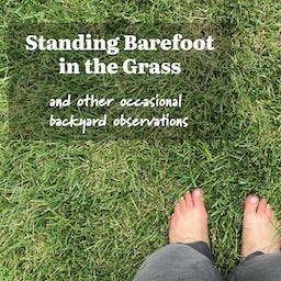 Standing Barefoot in the Grass