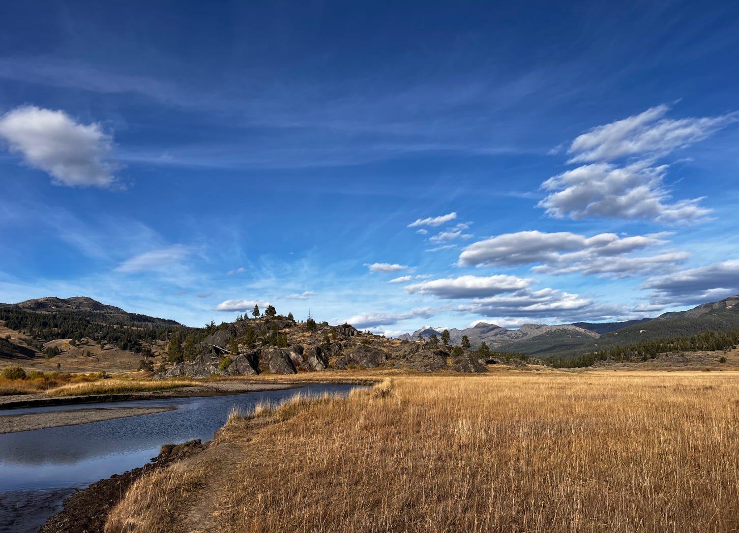 Fly Fishing Yellowstone National Park's Untamed Wilderness