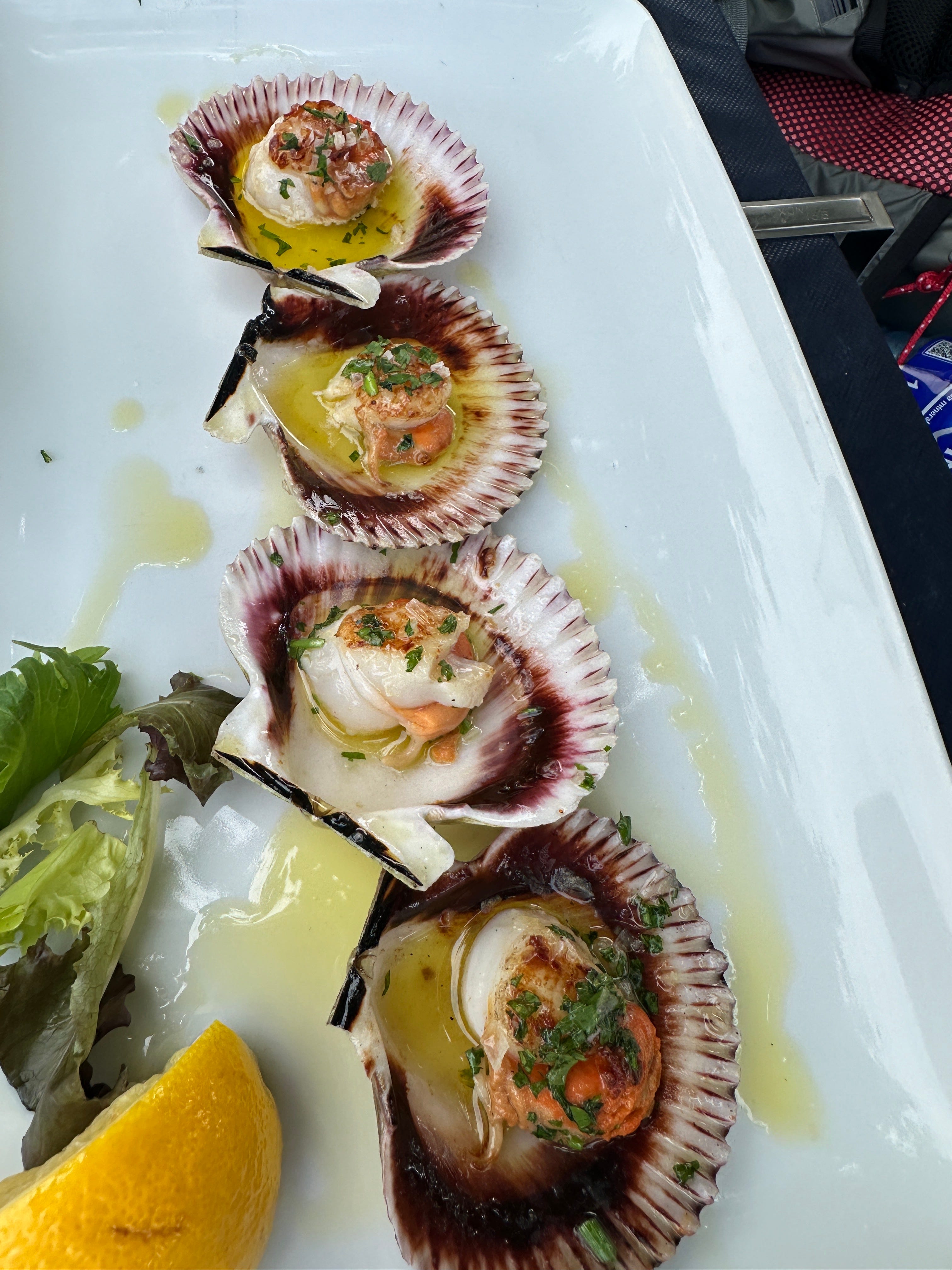 Sunday and Monday Coastal Beauty, SelfReflection, and Unexpected