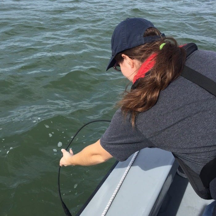 Celebrating World Field Epidemiology Day