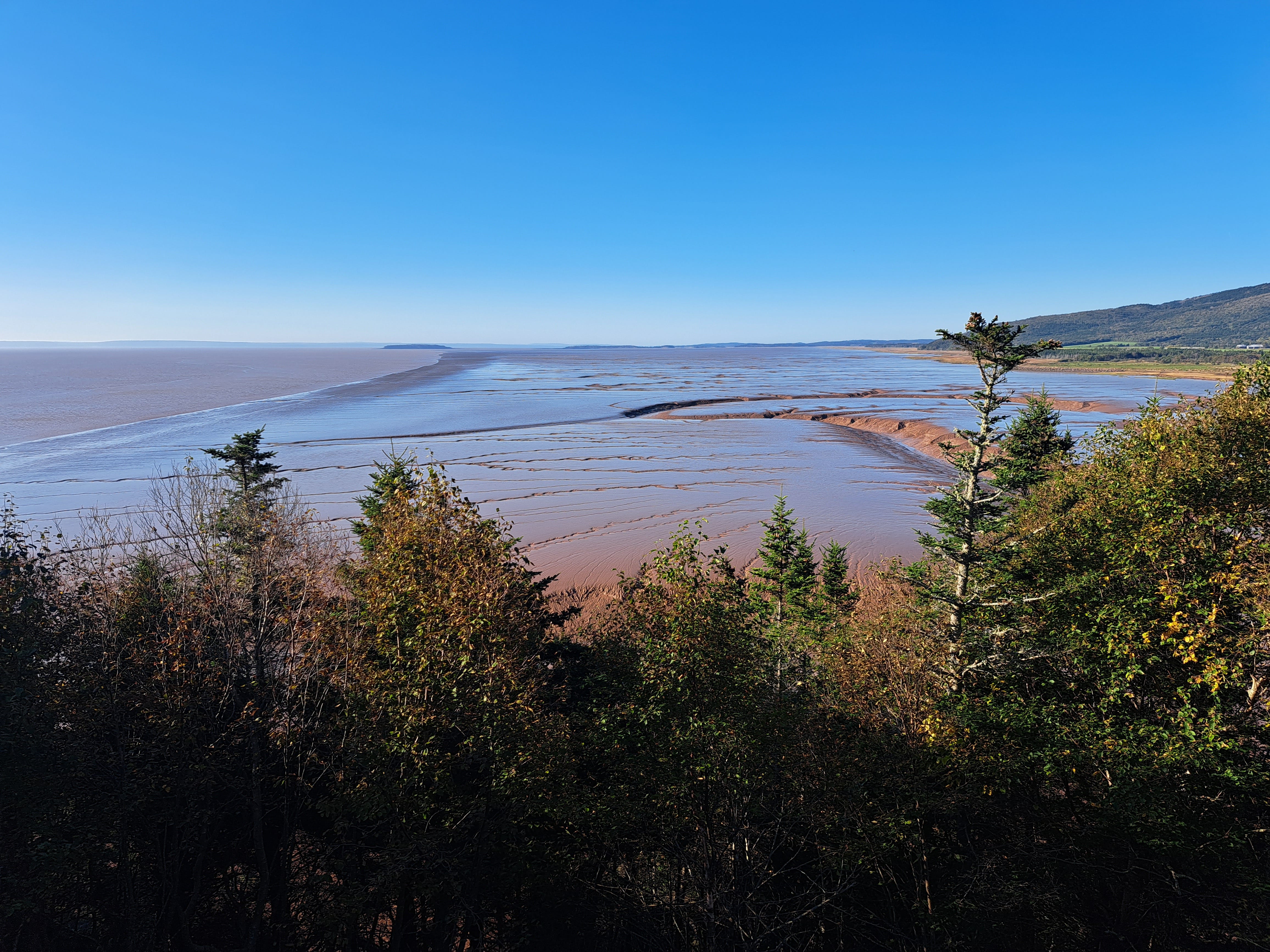 Saint John-Fundy - Wikipedia