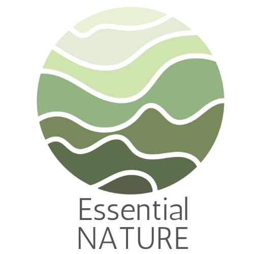 Artwork for Essential Nature