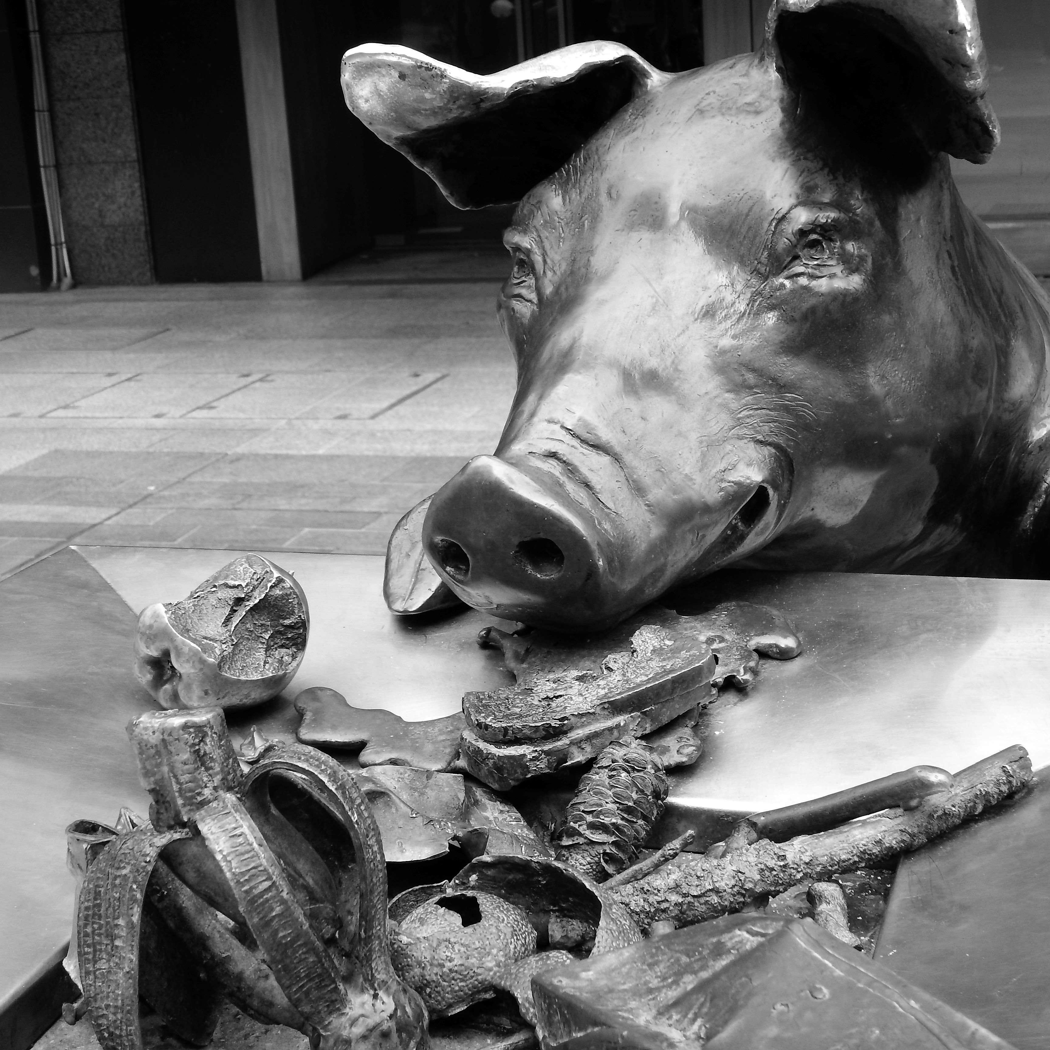 Silent Witnesses Adelaide's Statues and Monuments Chapter 39