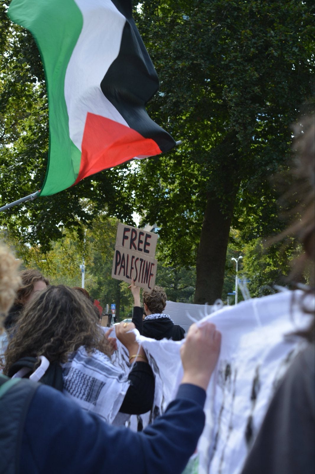 Students Plant an Olive Tree on Campus