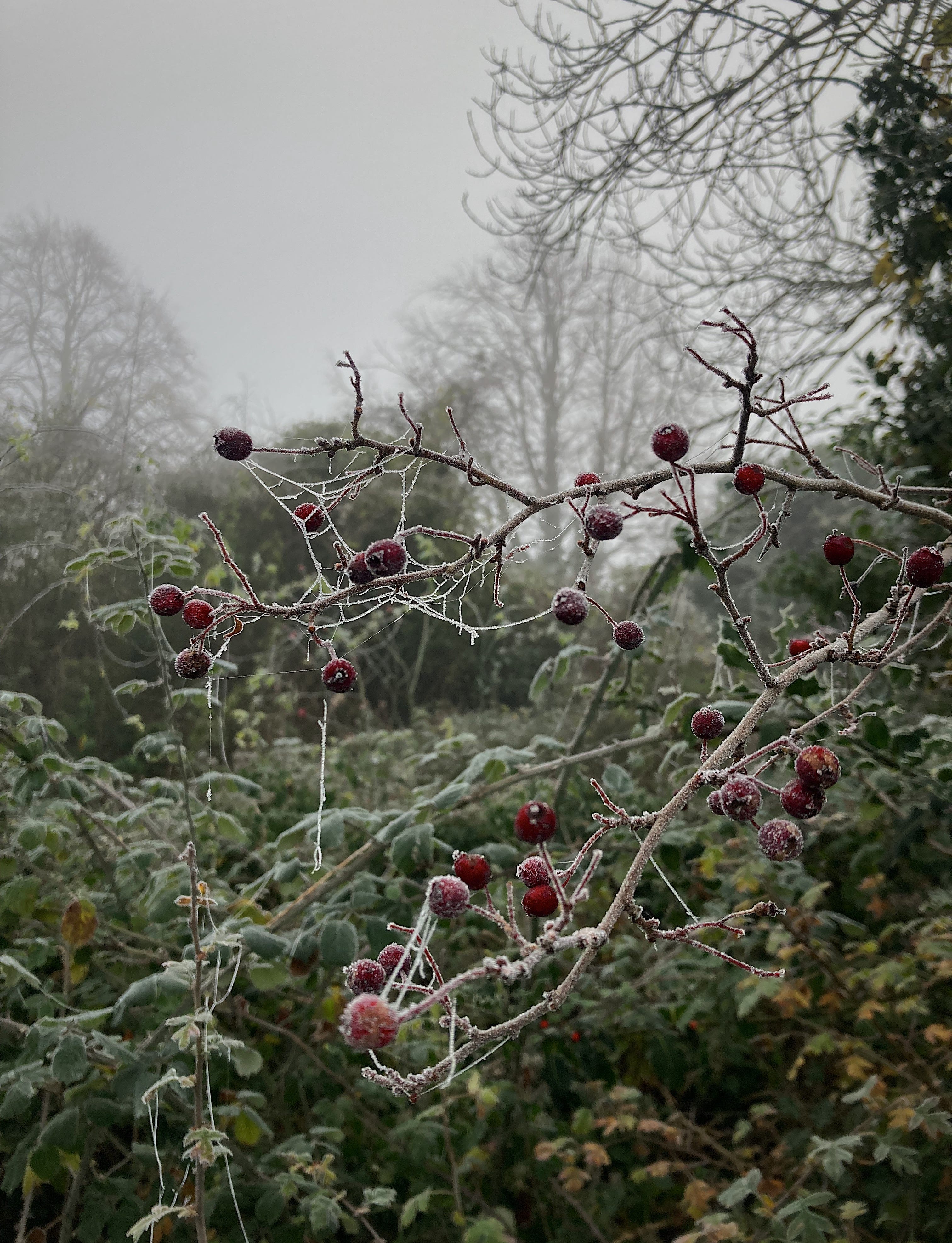 Best Winter Songs: Seasonal Snow Playlist