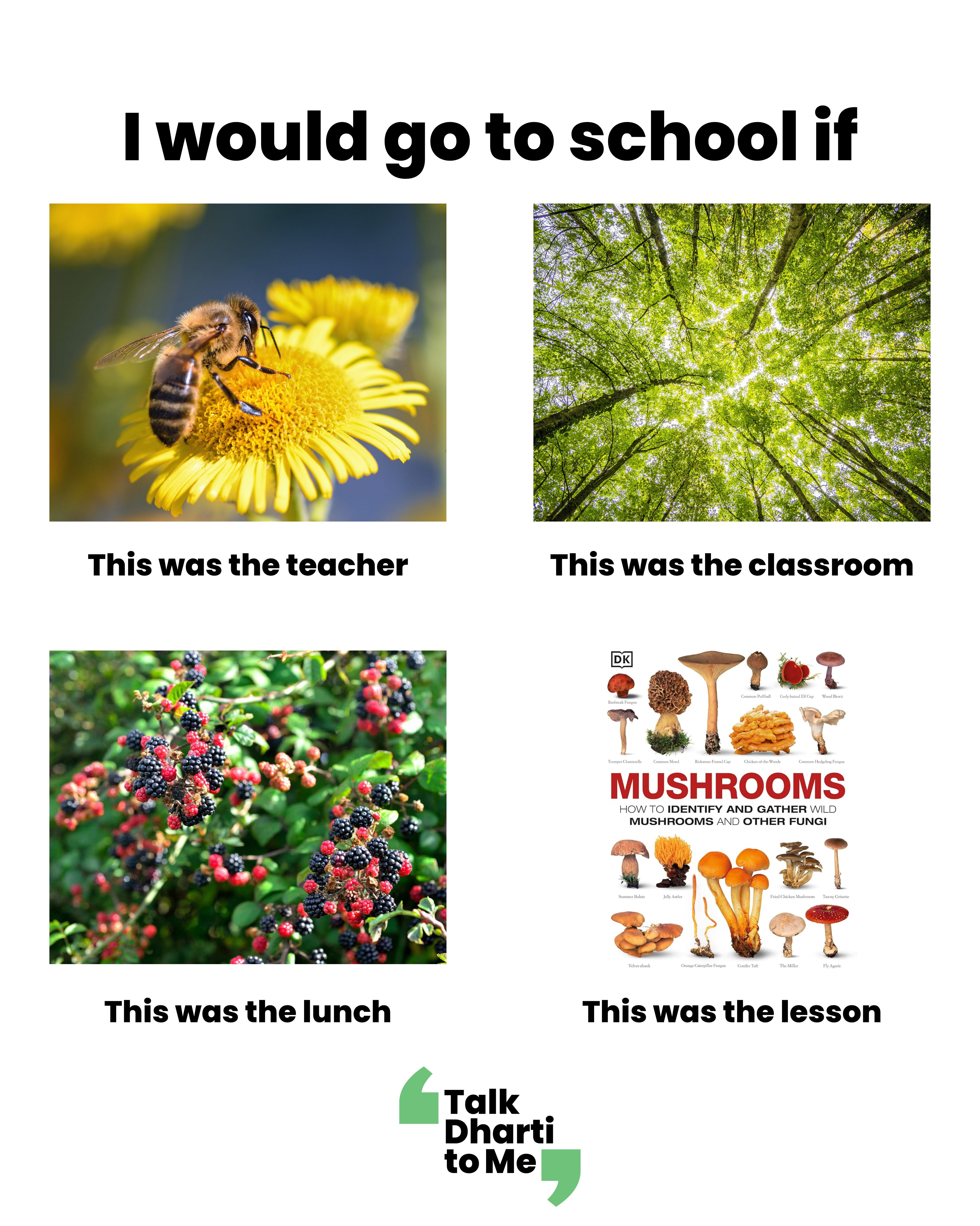 What does it mean to be sustainable? by Nivedita Bansal