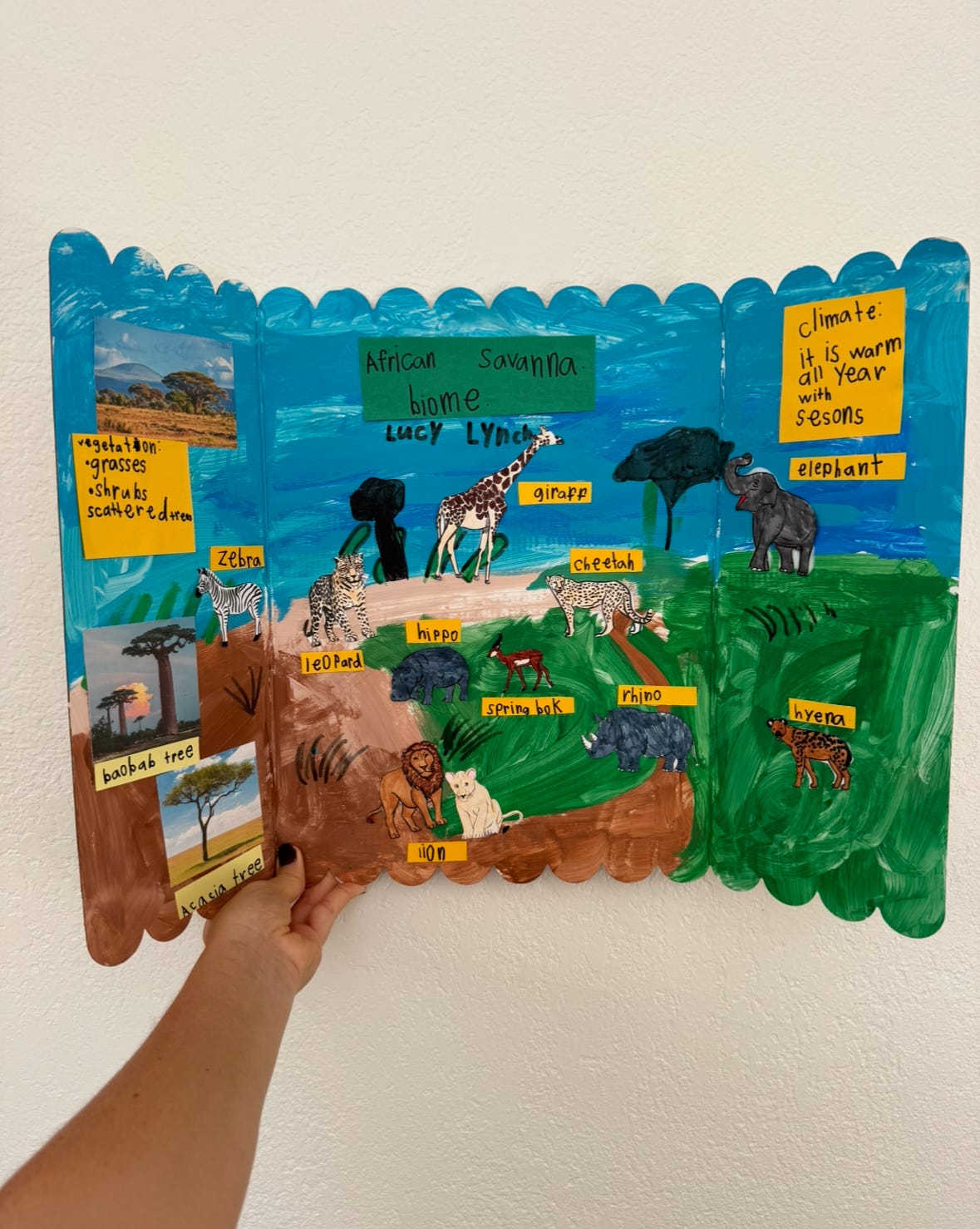 geography study countries of Africa by April Lynch